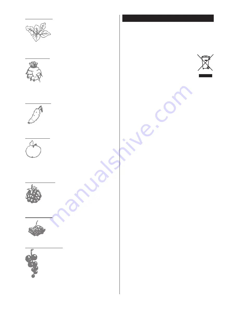 Zelmer jp1600-001 User Manual Download Page 9