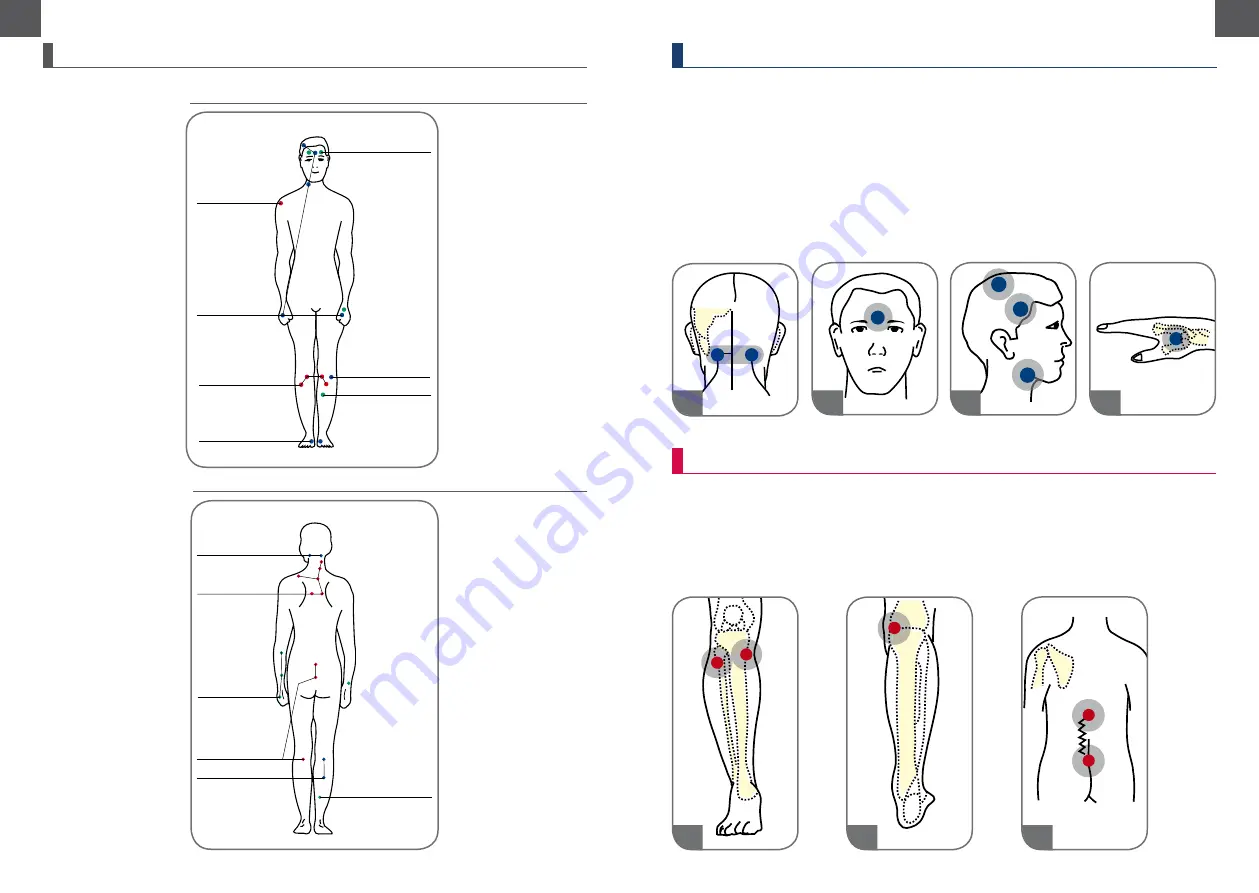 Zepter Vital System PBG-866 Скачать руководство пользователя страница 5