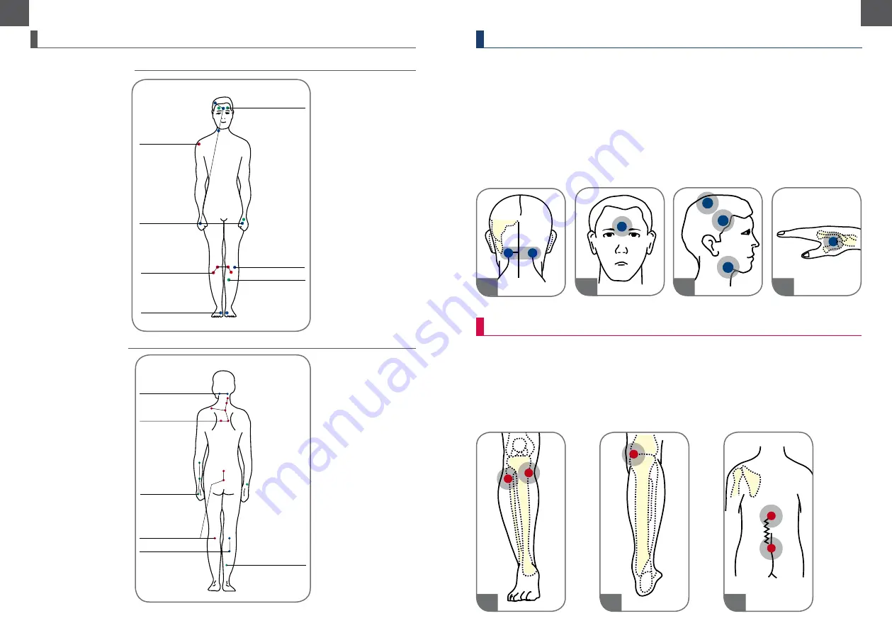 Zepter Vital System PBG-866 Скачать руководство пользователя страница 10