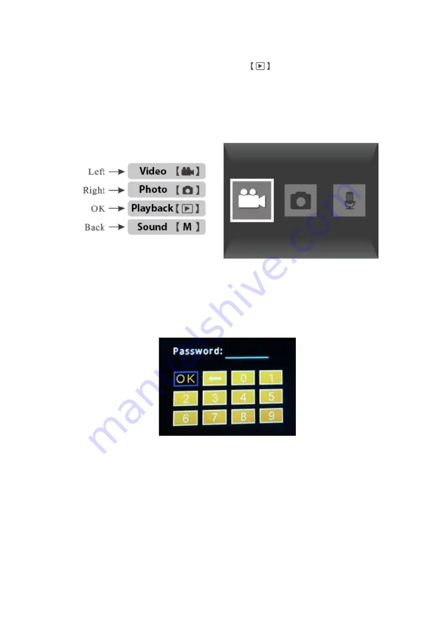 Zetronix BlueLine Manual Download Page 6