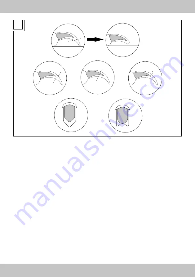 Zoofari 354620 2010 Operating Instructions Manual Download Page 3