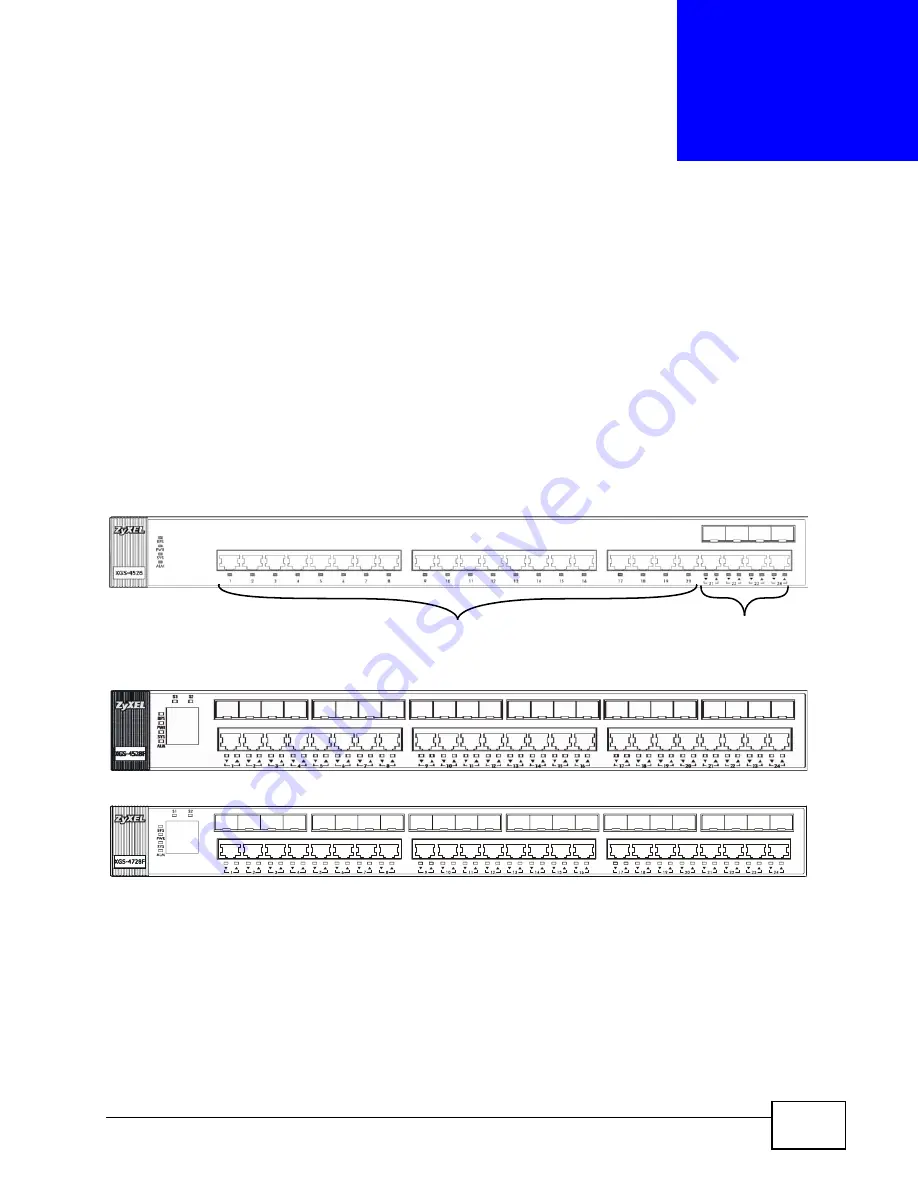 ZyXEL Communications XGS-4528F User Manual Download Page 37